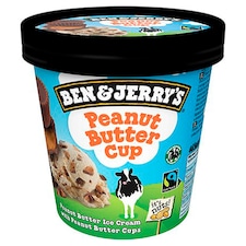 Ben & Jerry's Peanut Butter Cup mrazený krém 465 ml